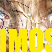 © Mimosa photo