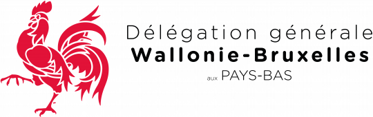 Logo_DGWB_PAYSBAS_Horizontal_Couleur.png